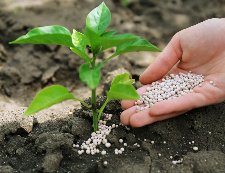 Fertilizers