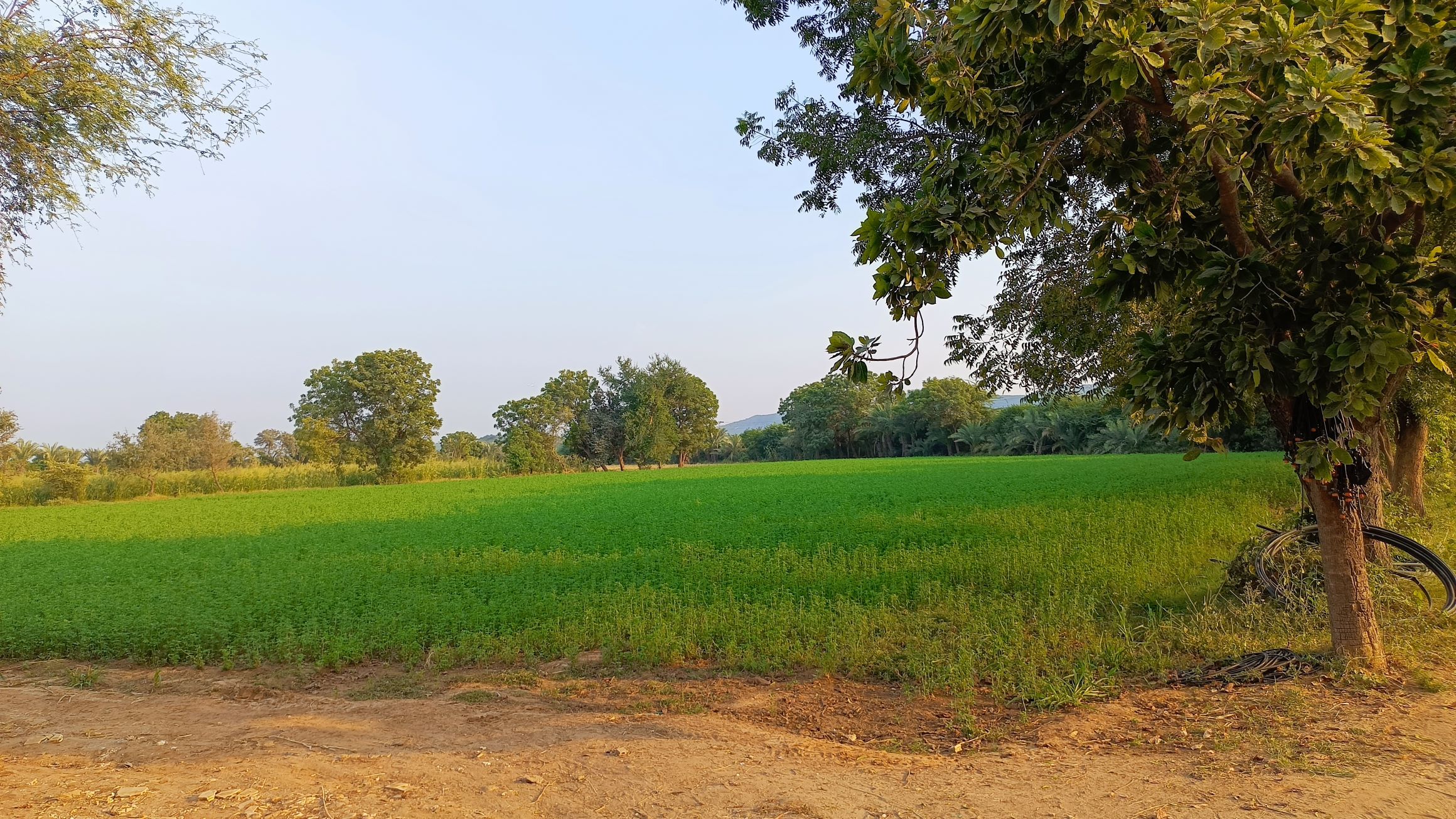 Overview